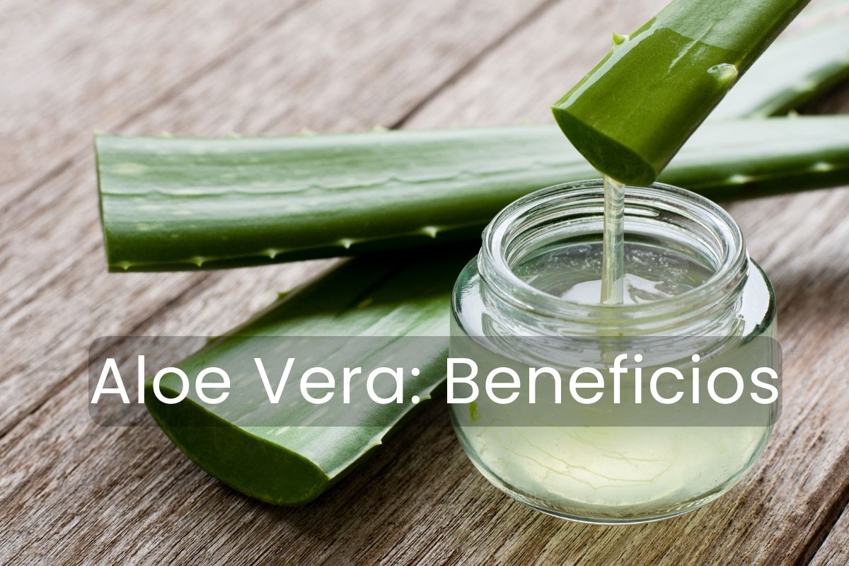 Aloe vera pura con muchos beneficios