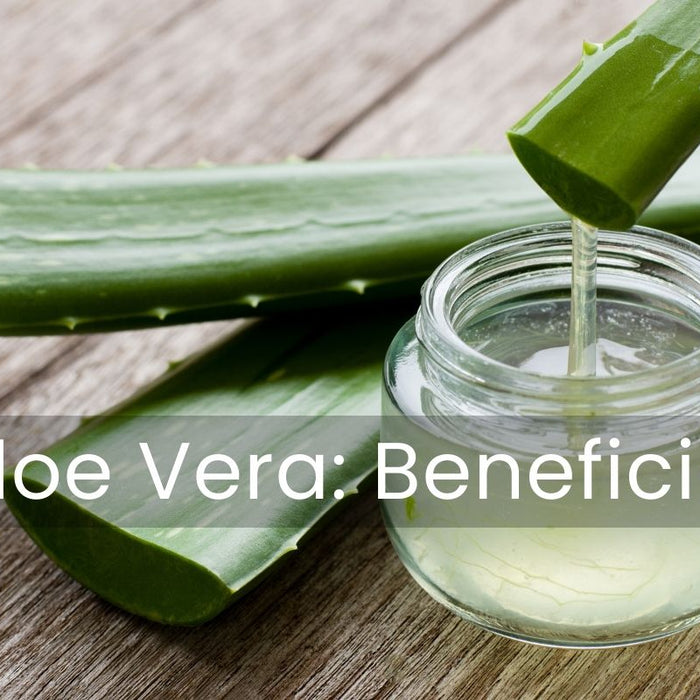 Aloe vera pura con muchos beneficios