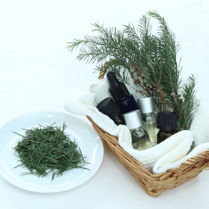 canasta con botellas de shampoo y ramas de árbol de te